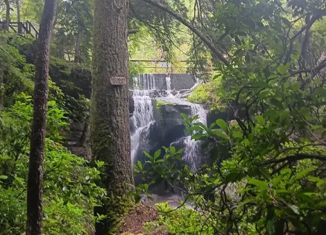 Dismals Canyon, Alabama