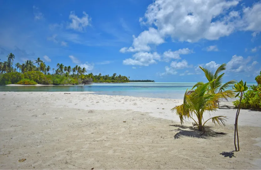 Jamaica