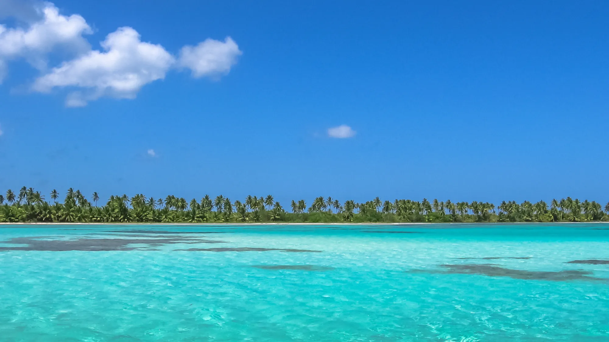 Jamaica